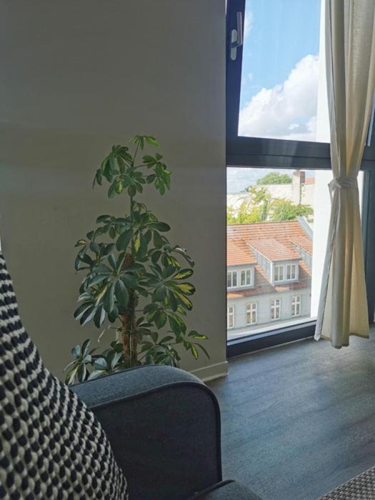 בראנדנבורג Ferienwohnung Havel Harmonie מראה חיצוני תמונה